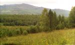 Фото 8: Северо-западные отроги Кутурчинского белогорья: Направление съёмки: 170°; дата: 17.08.2006; время: 1720.