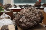 Брекчия, найденная на левобережье Енисея, внутри которого был обнаружен «разумный» артефакт