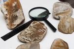 Артефакты, обнаруженные по побережью р. Подкаменная Тунгусска в 2006 г. На поверхности которых неизвестным способом нанесенные геометрические фигуры